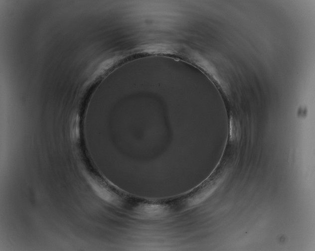 X0000101450205200807071413