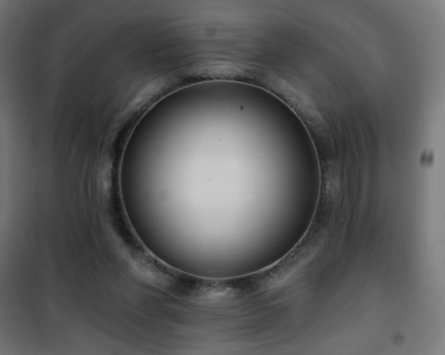 X0000101450206200807071413