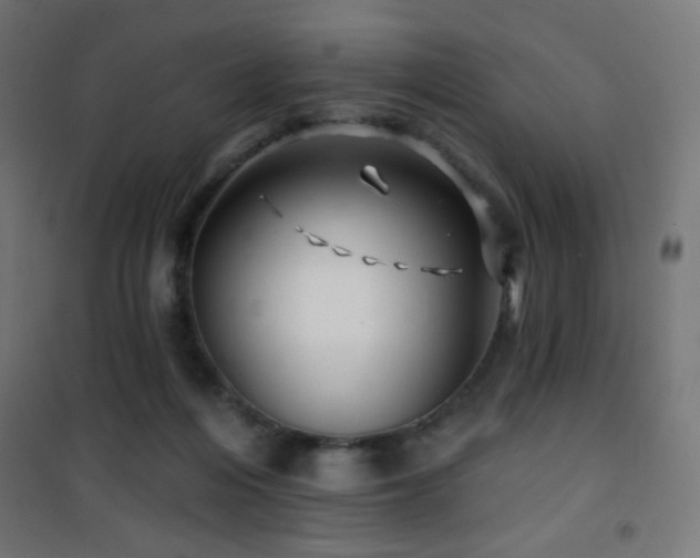 X0000101450216200807071413