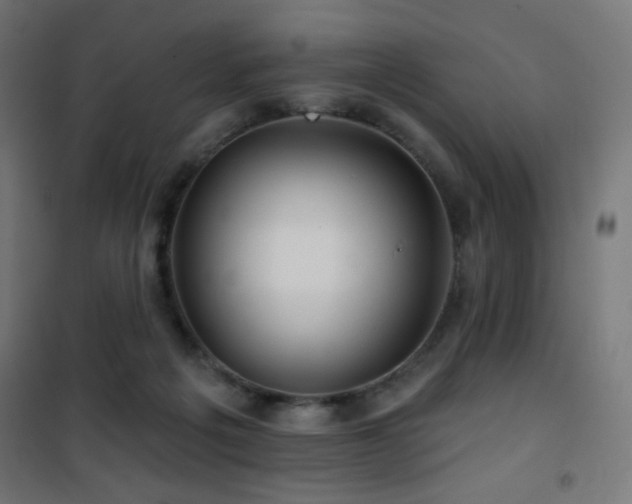 X0000101450217200807071413