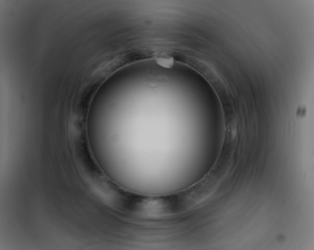 X0000101450218200807071413