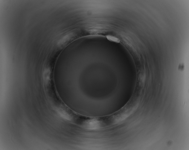 X0000101450219200807071413