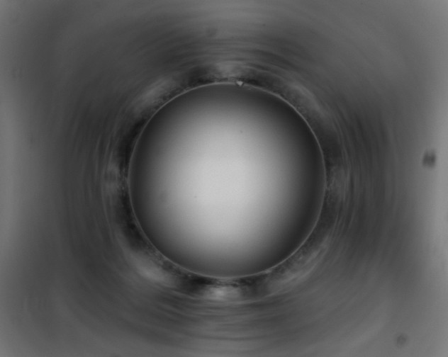 X0000101450220200807071413