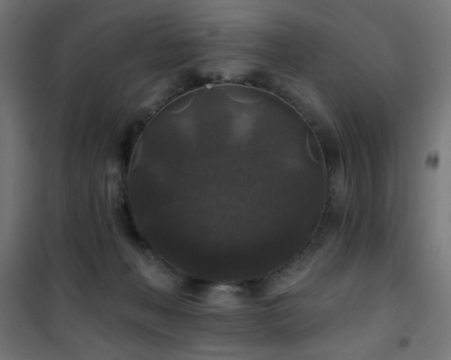 X0000101450222200807071413