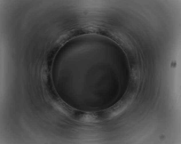 X0000101450223200807071413