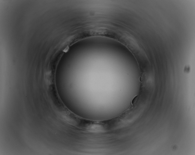 X0000101450224200807071413