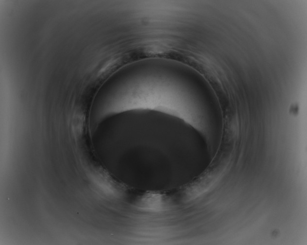 X0000101450227200807071413