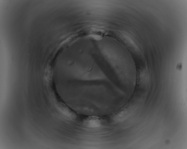 X0000101450228200807071413