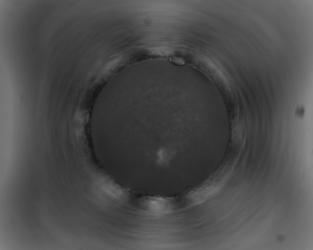 X0000101450229200807071413