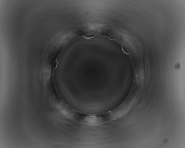 X0000101450231200807071413