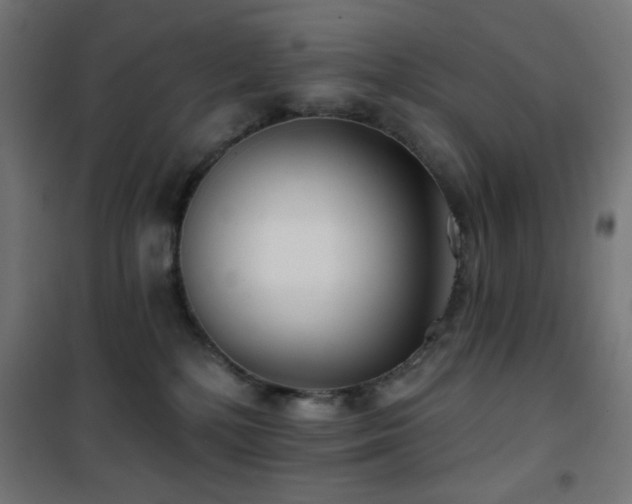 X0000101450232200807071413