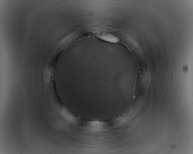 X0000101450233200807071413