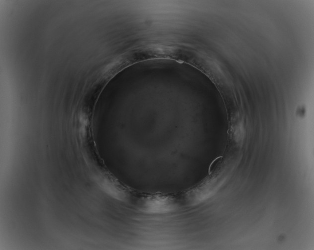 X0000101450235200807071413