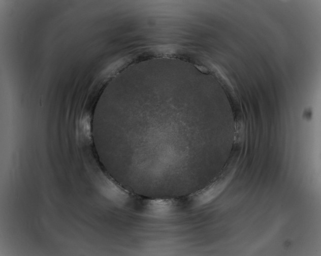 X0000101450238200807071413