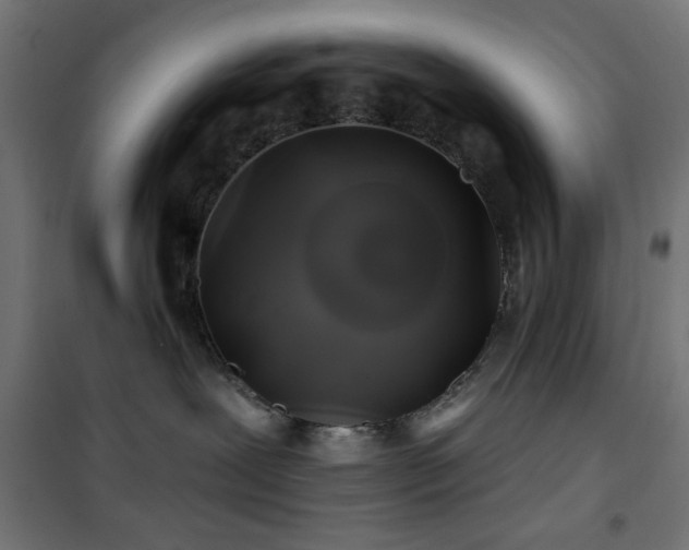 X0000101450239200807071413