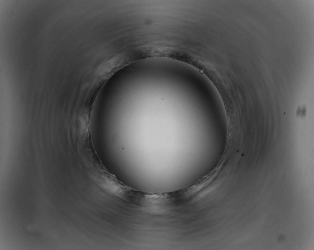 X0000101450240200807071413