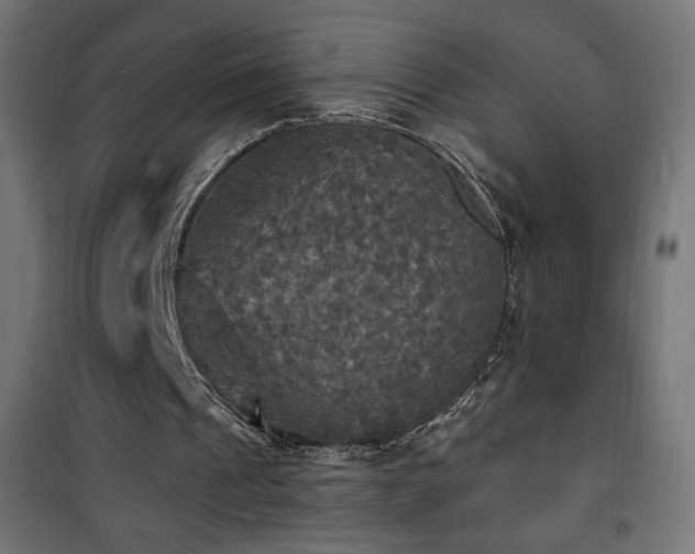 X0000101450241200807071412