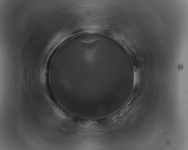 X0000101450243200807071412