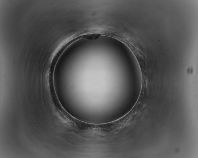 X0000101450244200807071412