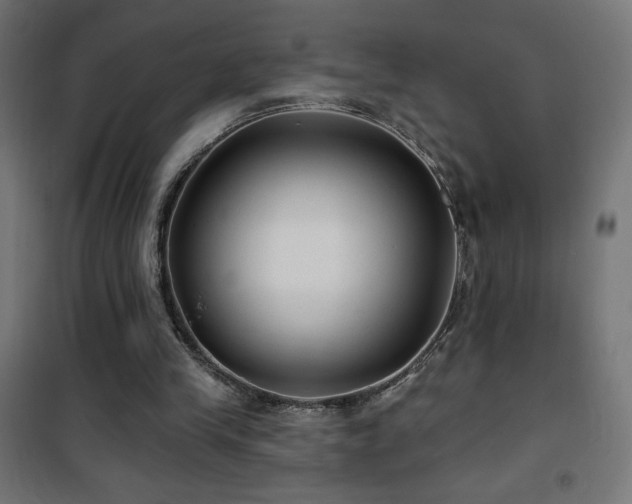 X0000101450245200807071412