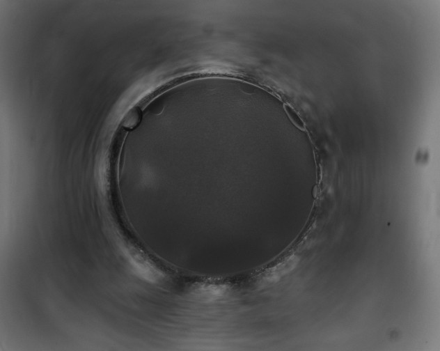 X0000101450247200807071412