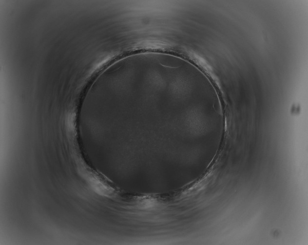 X0000101450249200807071412