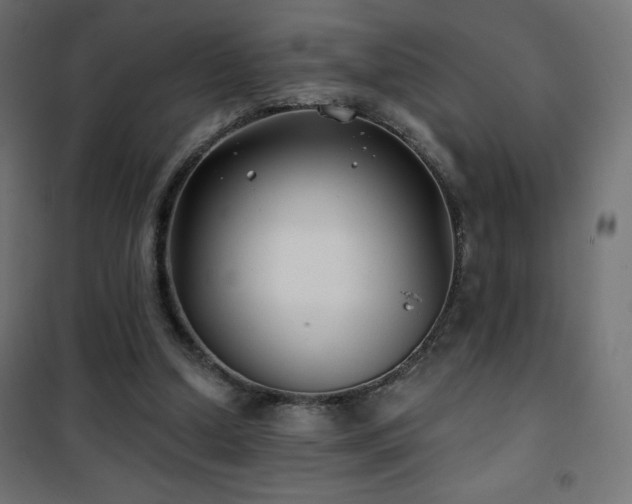 X0000101450250200807071412