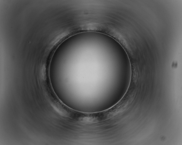 X0000101450251200807071412