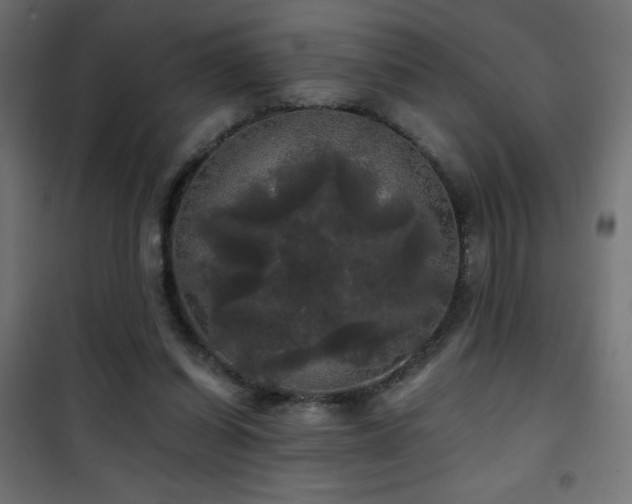 X0000101450254200807071412