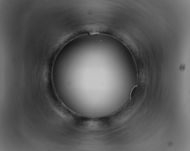 X0000101450255200807071412