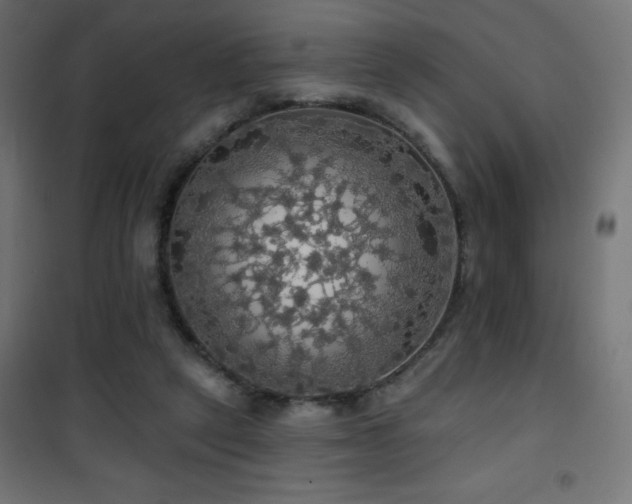 X0000101450257200807071412