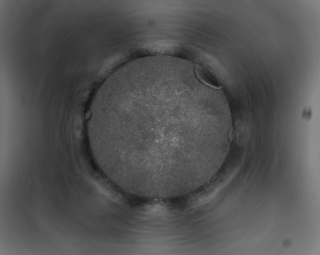 X0000101450259200807071412
