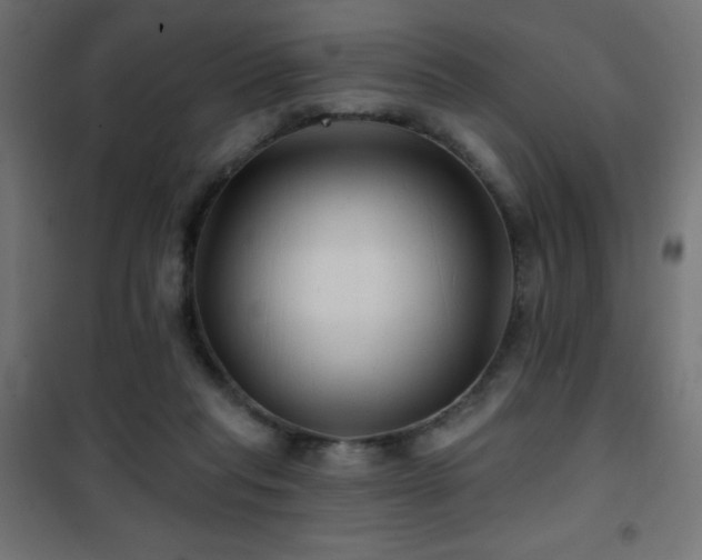 X0000101450261200807071412