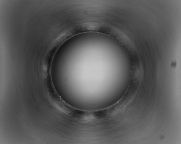 X0000101450262200807071412