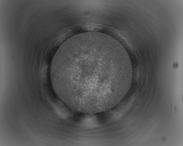 X0000101450263200807071412