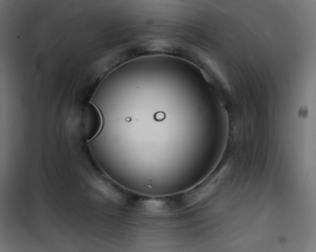 X0000101450265200807071412