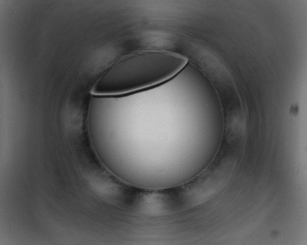 X0000101450268200807071412