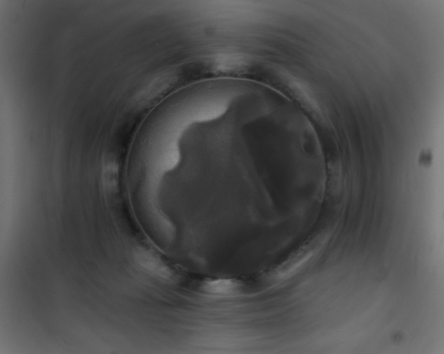 X0000101450269200807071412