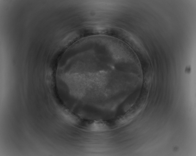 X0000101450270200807071412