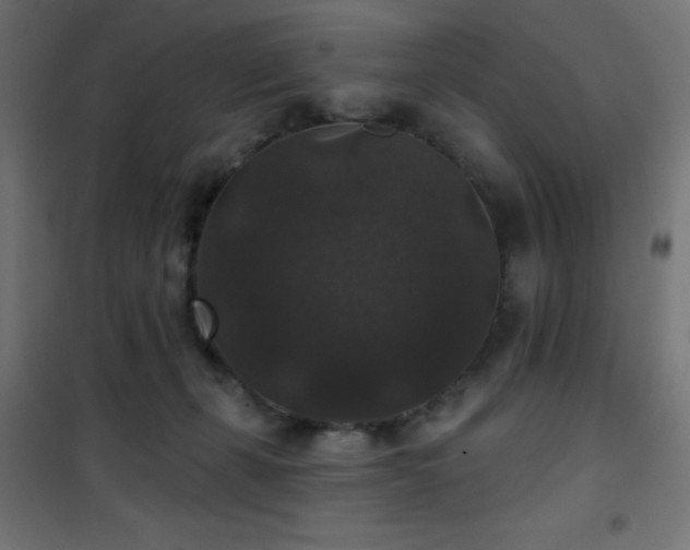 X0000101450271200807071412