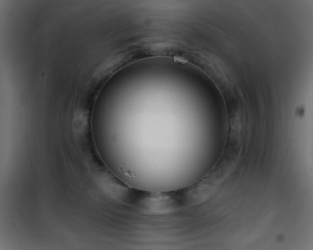 X0000101450278200807071413