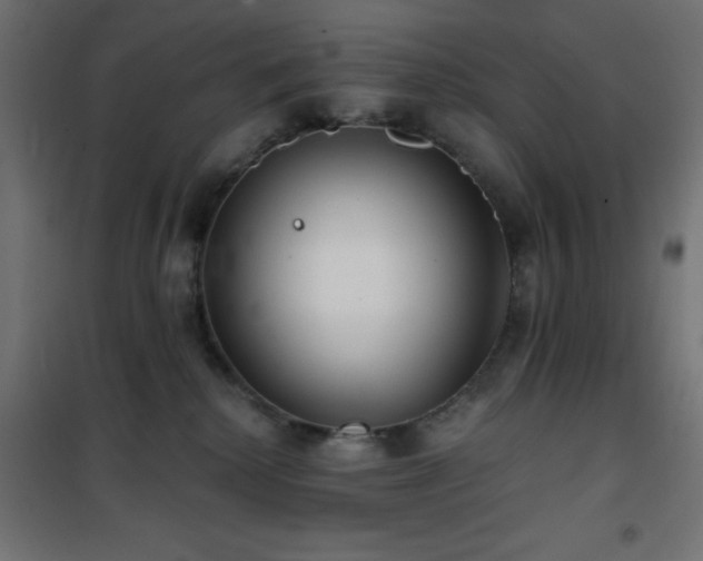 X0000101450280200807071413