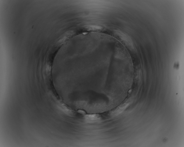 X0000101450281200807071413