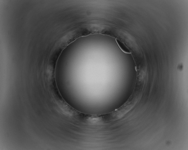 X0000101450283200807071413