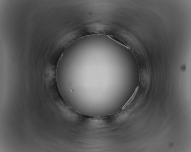 X0000101450284200807071413