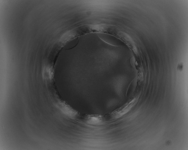 X0000101450285200807071413