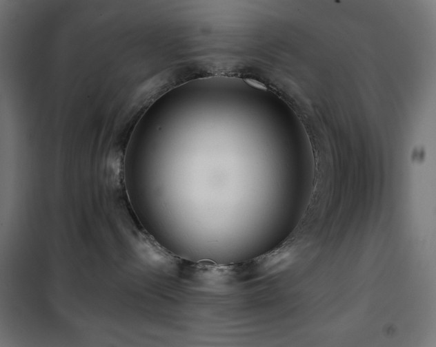 X0000101450288200807071413