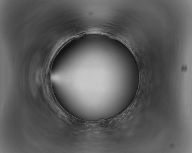 X0000101450289200807071412