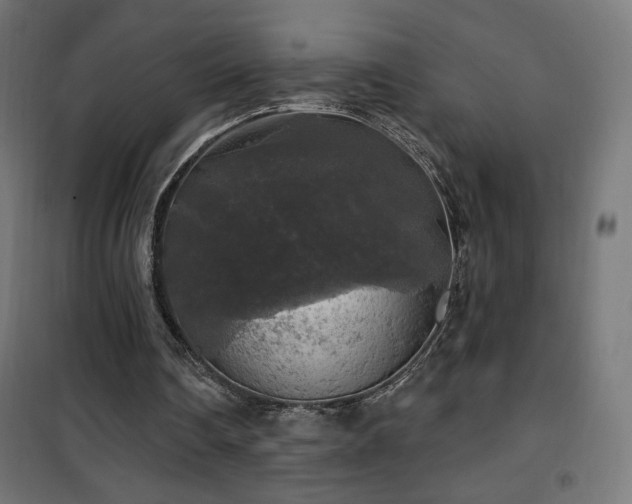 X0000101450290200807071412