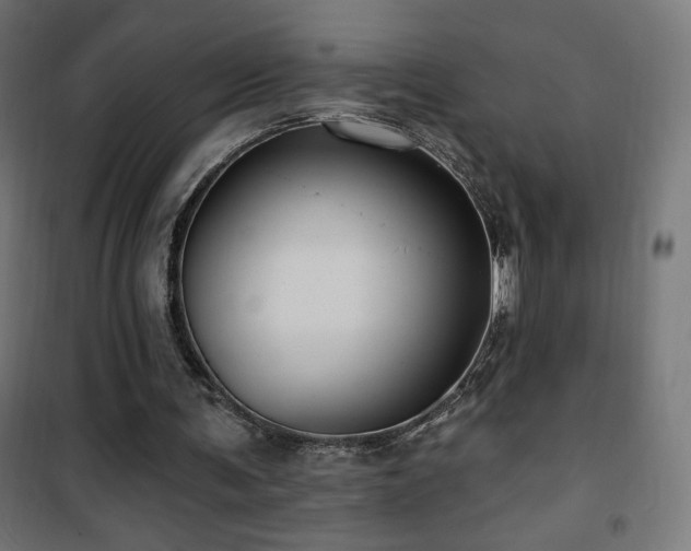 X0000101450291200807071412